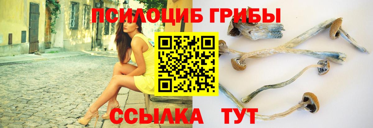 Псилоцибиновые грибы GOLDEN TEACHER  Псилоцибиновые грибы Psilocybe  Вход с VPN  купить наркотик  Печора 